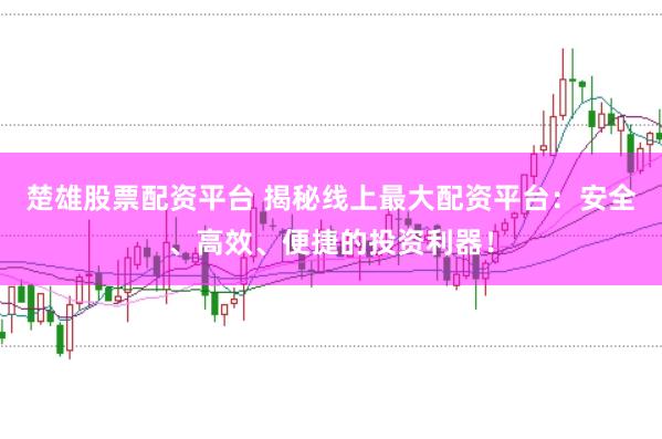 楚雄股票配资平台 揭秘线上最大配资平台：安全、高效、便捷的投资利器！