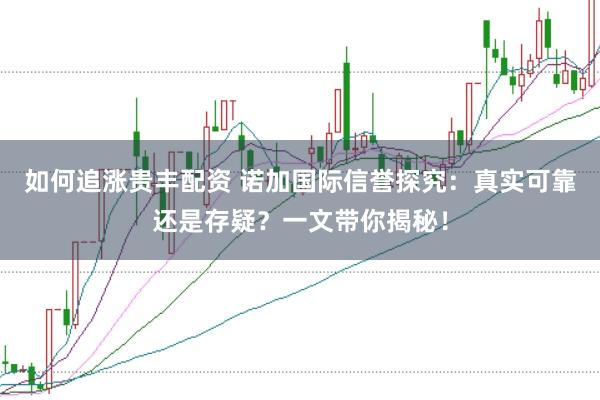 如何追涨贵丰配资 诺加国际信誉探究：真实可靠还是存疑？一文带你揭秘！
