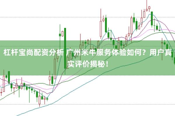 杠杆宝尚配资分析 广州米牛服务体验如何？用户真实评价揭秘！
