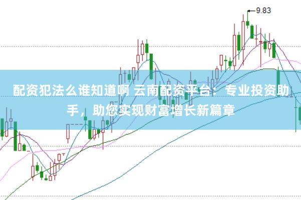 配资犯法么谁知道啊 云南配资平台：专业投资助手，助您实现财富增长新篇章