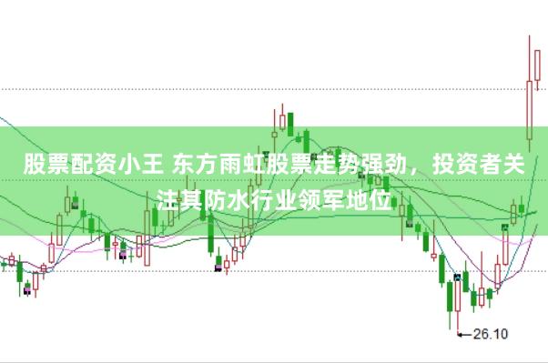 股票配资小王 东方雨虹股票走势强劲，投资者关注其防水行业领军地位