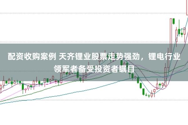 配资收购案例 天齐锂业股票走势强劲，锂电行业领军者备受投资者瞩目