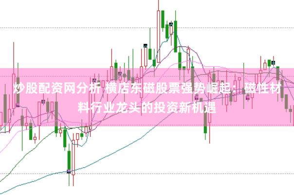 炒股配资网分析 横店东磁股票强势崛起：磁性材料行业龙头的投资新机遇