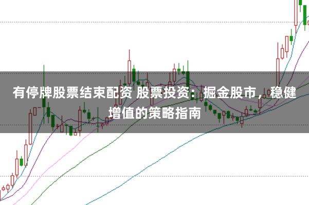 有停牌股票结束配资 股票投资：掘金股市，稳健增值的策略指南