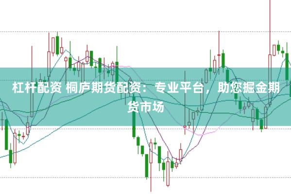 杠杆配资 桐庐期货配资：专业平台，助您掘金期货市场