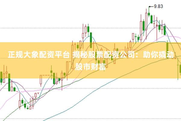 正规大象配资平台 揭秘股票配资公司：助你撬动股市财富