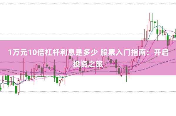 1万元10倍杠杆利息是多少 股票入门指南：开启投资之旅