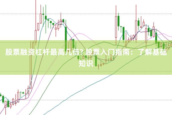 股票融资杠杆最高几倍? 股票入门指南：了解基础知识