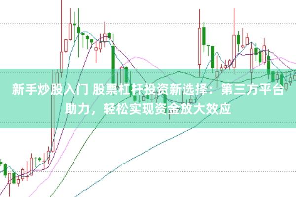 新手炒股入门 股票杠杆投资新选择：第三方平台助力，轻松实现资金放大效应