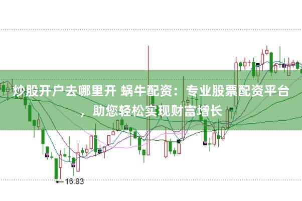 炒股开户去哪里开 蜗牛配资：专业股票配资平台，助您轻松实现财富增长