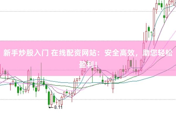新手炒股入门 在线配资网站：安全高效，助您轻松盈利！