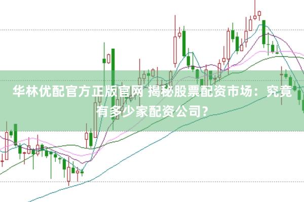 华林优配官方正版官网 揭秘股票配资市场：究竟有多少家配资公司？
