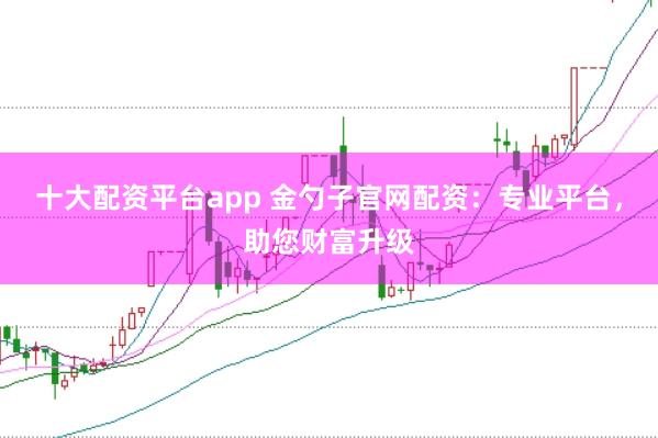 十大配资平台app 金勺子官网配资：专业平台，助您财富升级