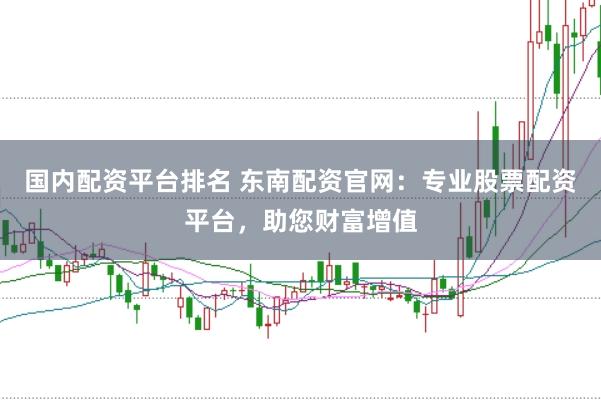 国内配资平台排名 东南配资官网：专业股票配资平台，助您财富增值