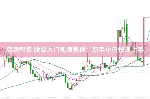 启运配资 股票入门视频教程：新手小白快速上手