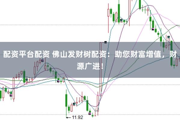 配资平台配资 佛山发财树配资：助您财富增值，财源广进！